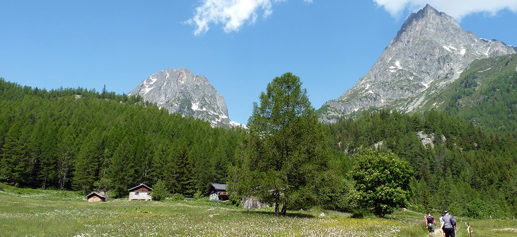 VALLORCINE, TÉLÉSKI DE LA POYA Image