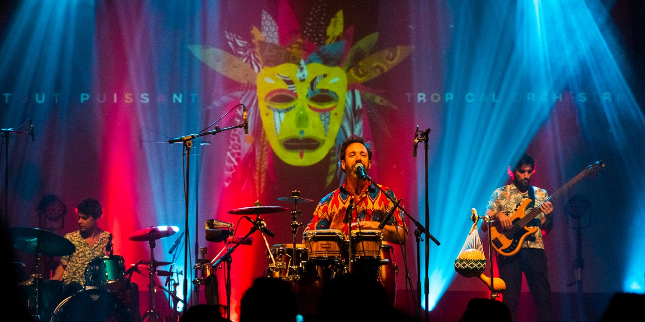 LE TOUT PUISSANT TROPICAL ORCHESTRA Image