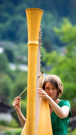 © Christophe Boillon - CosmoJazz Festival - https://www.flickr.com/photos/boillon_christophe